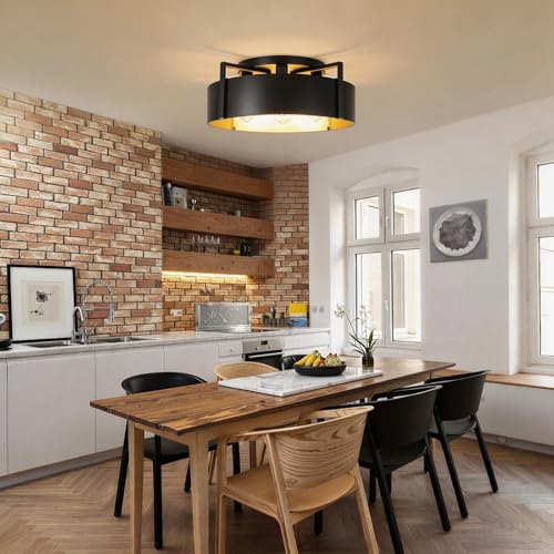 20'' Black Semi Flush Mount Ceiling Light