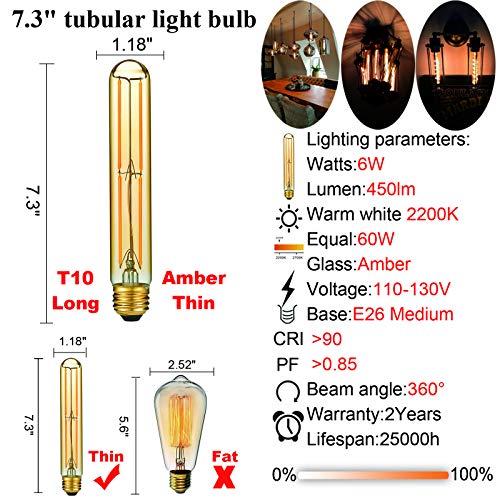 E26 T10 Edison Bulbs (6 Count)