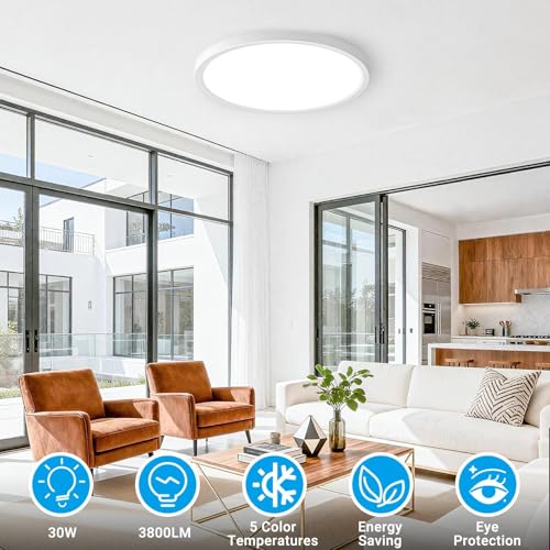 LED Flush Mount Ceiling Light
