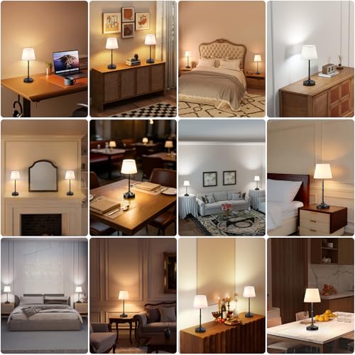 Cordless Table Lamp