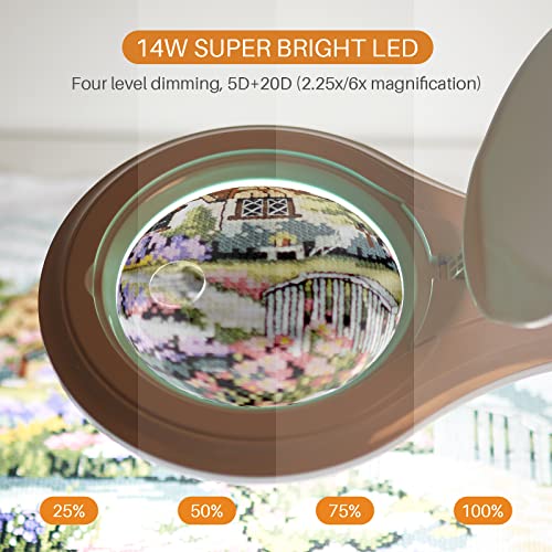 Bifocal LED Magnifying Lamp with Clamp