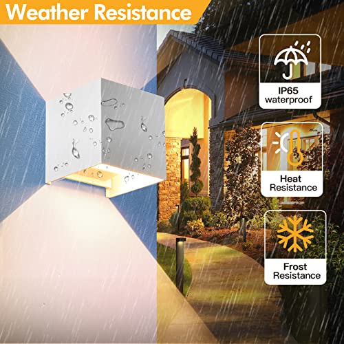 2 Pack Outdoor Wall Lights Exterior (2 Count)