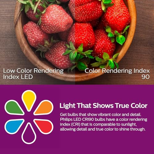 LED 100W A19 24 (24 Count)
