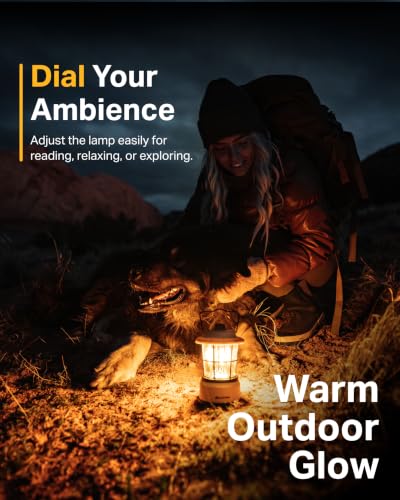 Rechargeable Retro Outdoor Lantern LED Camping Lantern (2 Count)