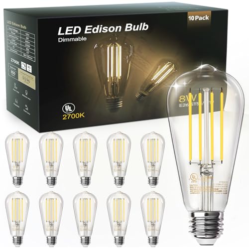 LED Edison Light Bulbs (10 Count)
