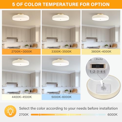 Dimmable LED Ceiling Light Fixture