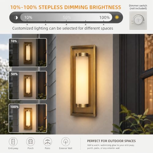 Modern LED Dusk to Dawn Outdoor Wall Sconce