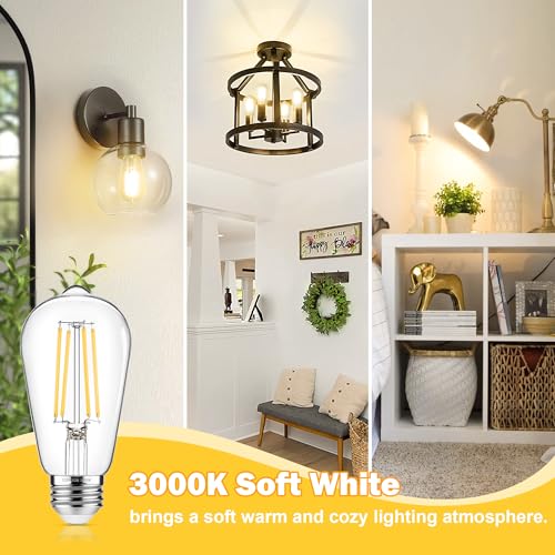 4 Pack Vintage Edison Bulbs 60W Equivalent (4 Count)