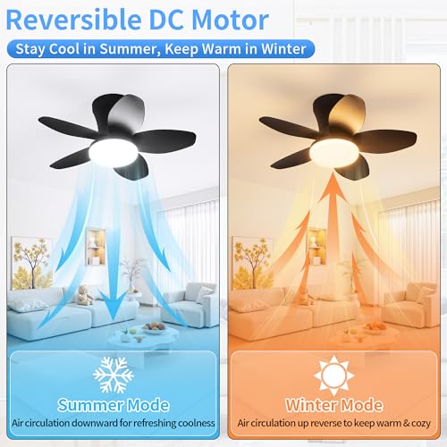 25 Inch Small Ceiling Fans with Lights (Black)