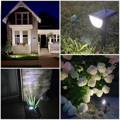 Solar Lights Outdoor Waterproof IP65 (4 Count)