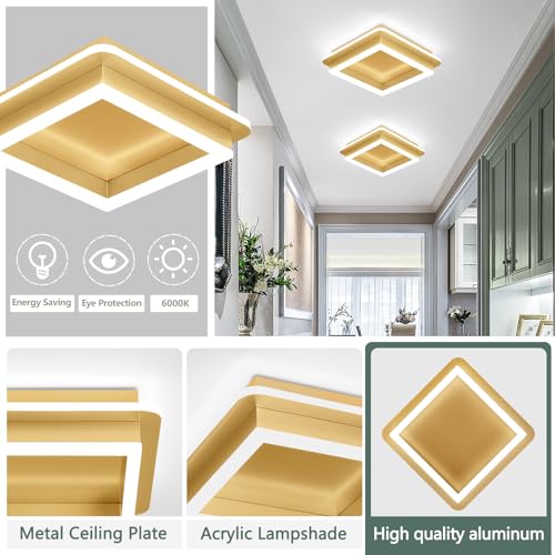 Square LED Hallway Ceiling Light