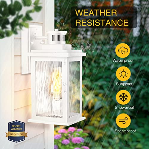 Motion Sensor Outdoor Lights
