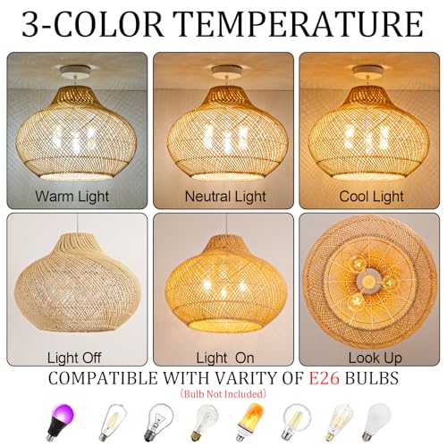 18.9" Rattan Pendant Light