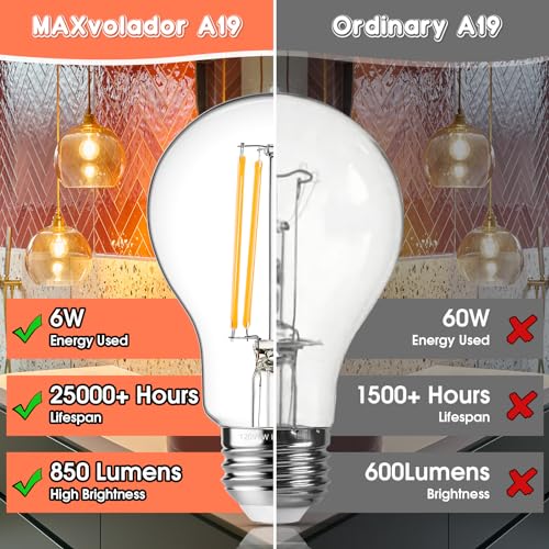 60W Equivalent E26 LED Filament Light Bulbs (4 Count)