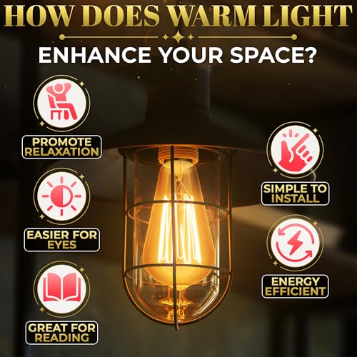4 Pack Vintage Edison Bulbs (4 Count)
