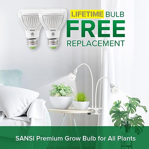 Grow Lights for Indoor Plants