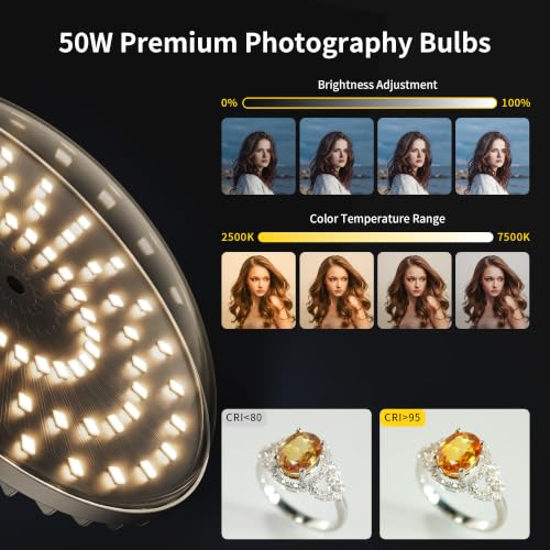 Softbox Lighting Kit
