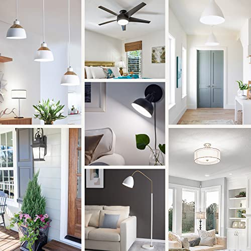A19 LED Light Bulbs (20 Count)