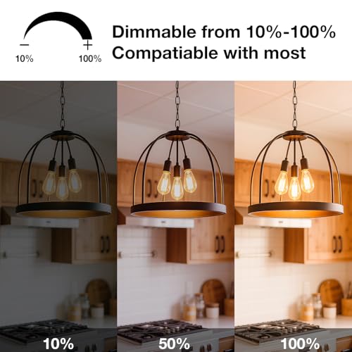 Vintage LED Edison Bulbs (12 Count)