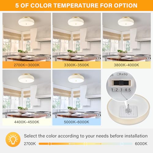 Dimmable LED Ceiling Light Fixture