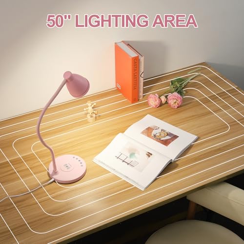 Cute Desk Lamp for Home Office with USB C+A Charging Port Timer Pink (Pink / Standard)