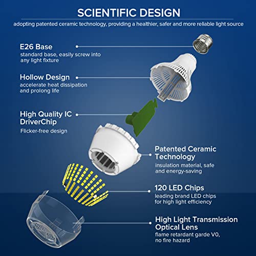 Dimmable LED Light Bulbs