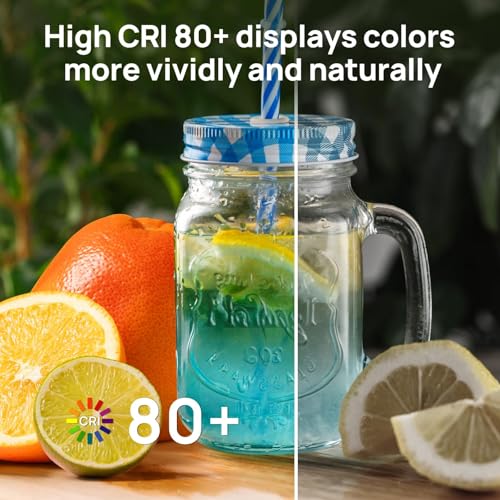 A19 LED Light Bulb (24 Count)