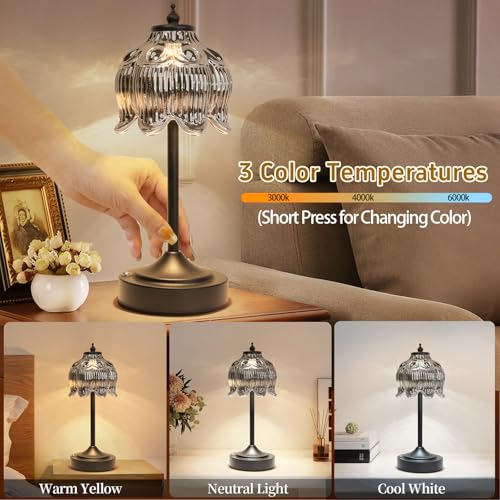 Cordless Table Lamp