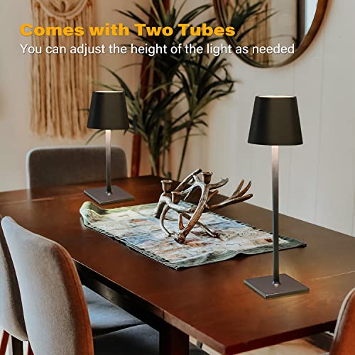 2 Pack Cordless Table Lamps (2 Count)