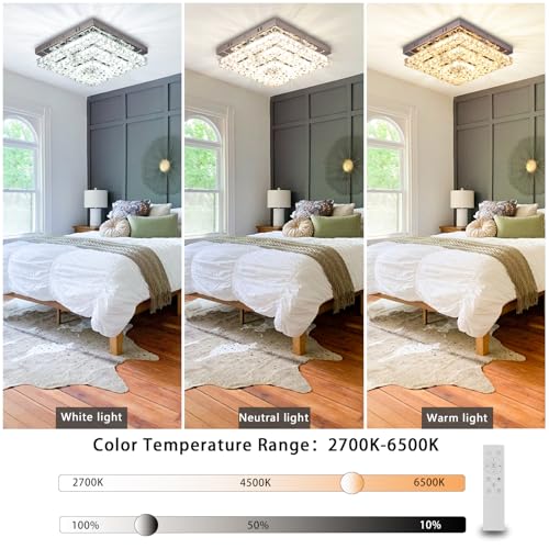 11.8" Crystal Ceiling Light