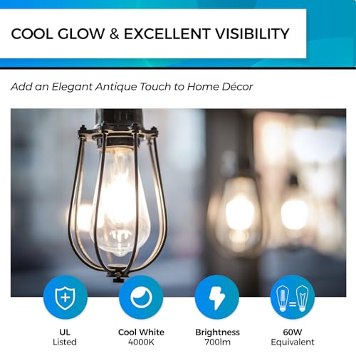 Edison Bulbs Dimmable (4 Count)