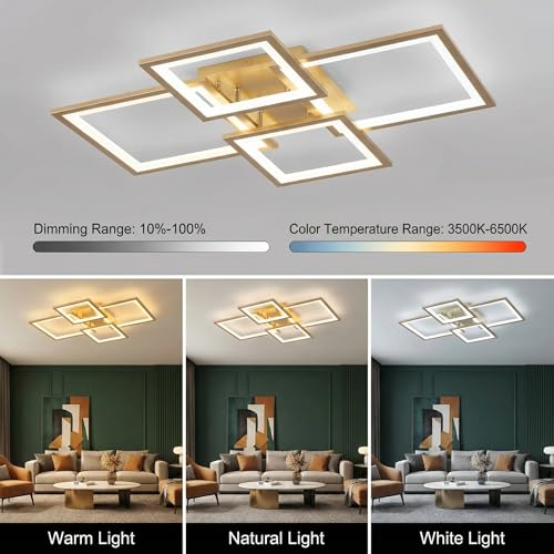 Modern LED Ceiling Light