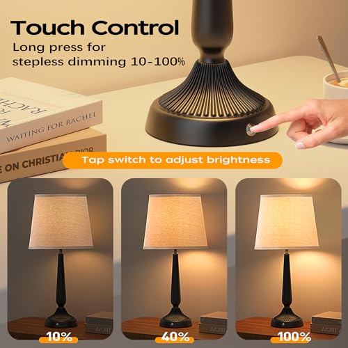 Cordless Table Lamp