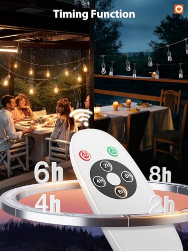 LED Outdoor String Lights 48FT with Timer Edison Vintage Bulbs ETL (48 Foot)