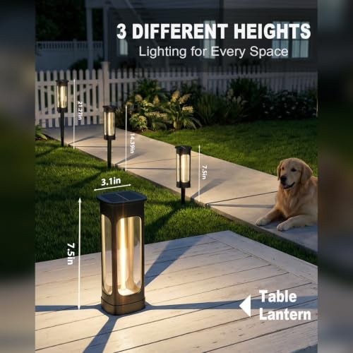 Solar Pathway Lights Outdoor (6 Count)