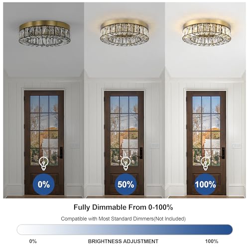 Crystal LED Flush Mount Ceiling Light Fixtures Modern Black and Gold LED Chandelier Lighting for Kitchen Closet Hallway Bedroom Foyer Laundry Room