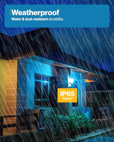 Sunco 50 Pack Edison Bulbs LED ST64 (50 Count)