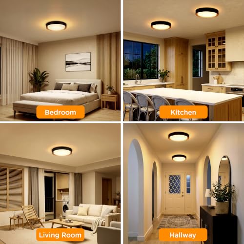 Flush Mount Ceiling Light (Matte Black)