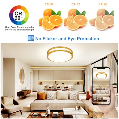 DLLT Flush Mount LED Ceiling Light (2 Count)