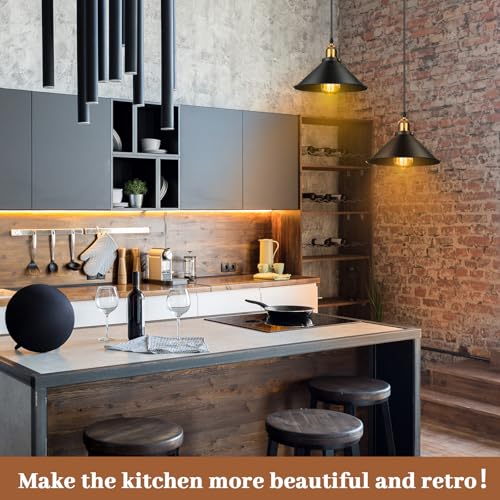 24 Pcs Industrial Pendant Light (24 Count)