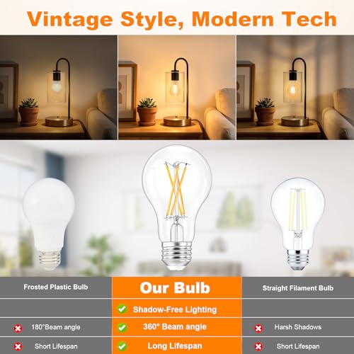 A19 Vintage LED Edison Light Bulb (6 Count)