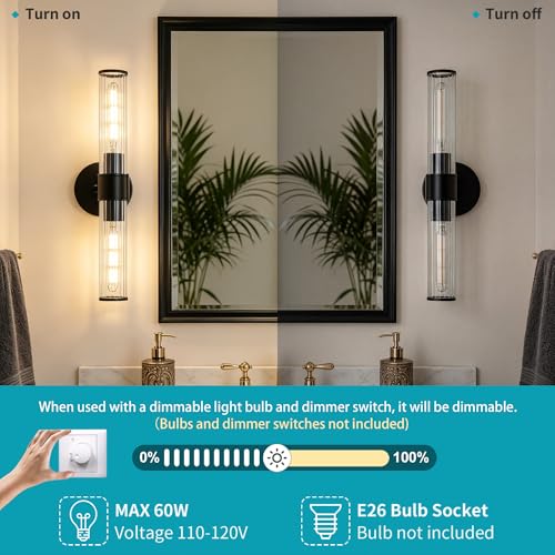 Hardwired Black Vanity Light Threaded Glass Wall Sconce 2 Pack (2 Count)