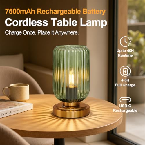 Cordless Table Lamp for Bedroom