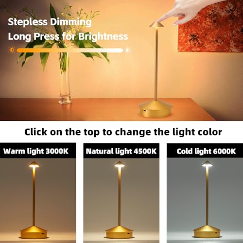 2 Pack Aluminum Cordless Table Lamp (2 Count)