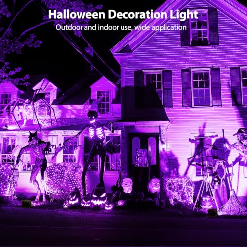 Purple Halloween Lights (Purple)