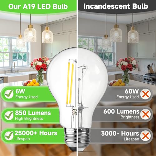 A19 Vintage LED Edison Bulbs Dimmable 60W Equivalent High Brightness (4 Count)