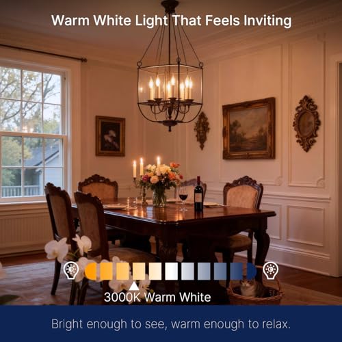 3000K Warm White LED Chandelier Edison Bulbs (6 Count)