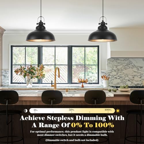 Black Pendant Lights Kitchen Island (2 Count)