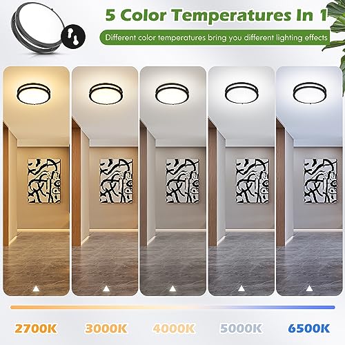 2 Pack 10 Inch Bathroom Light Fixtures Ceiling Mount (2 Count)