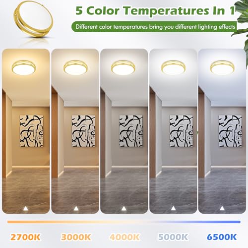 2 Pack Gold Flush Mount LED Ceiling Light Fixture (2 Count)